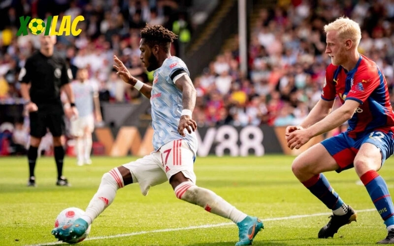 Video Highlight Manchester United vs Crystal Palace 19h00 ngày 30/11